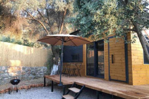 Makri Tiny House Faralya